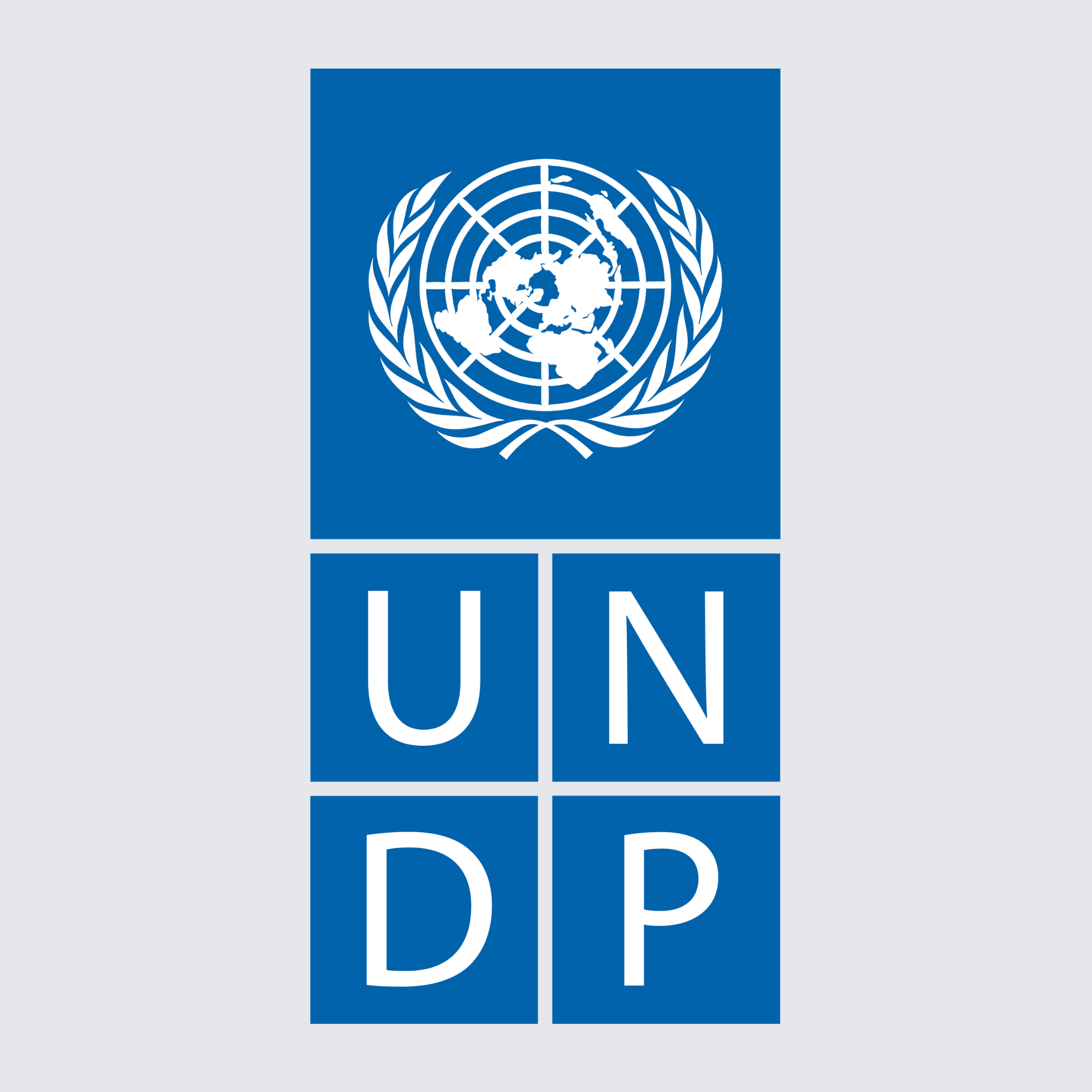 United Nations Development Programme